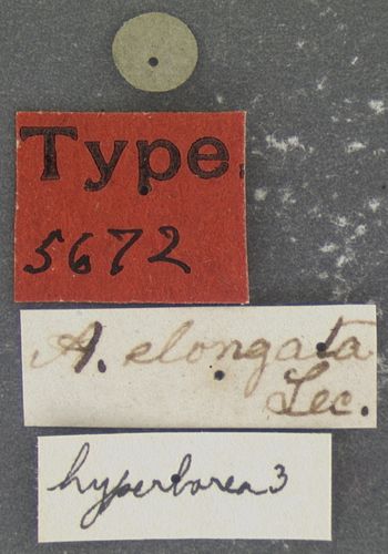 Media type: image;   Entomology 5672 Aspect: labels